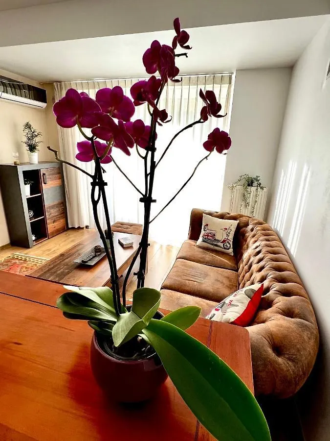 Wood Story - Modern 1Br Apt Near City Center With Parking Bucharest