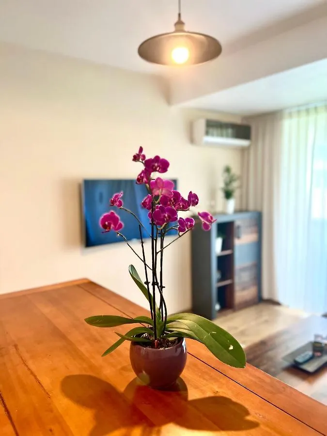 Apartment Wood Story - Modern 1Br Apt Near City Center With Parking Bucharest